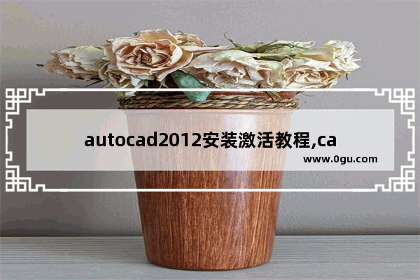 autocad2012安装激活教程,cad安装步骤2010以及激活