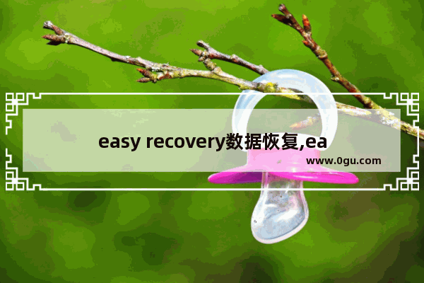 easy recovery数据恢复,easyrecovery怎么恢复文件 1