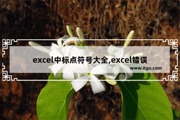 excel中标点符号大全,excel错误符号