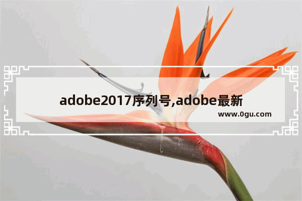 adobe2017序列号,adobe最新版本号