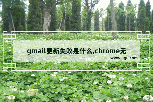 gmail更新失败是什么,chrome无法更新至最新版本,因此您未能获得