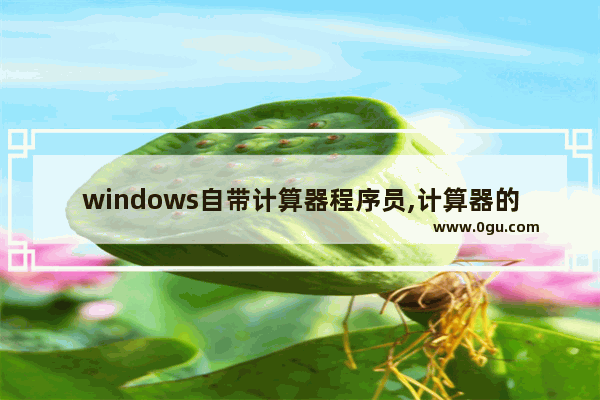 windows自带计算器程序员,计算器的程序员模式怎么用