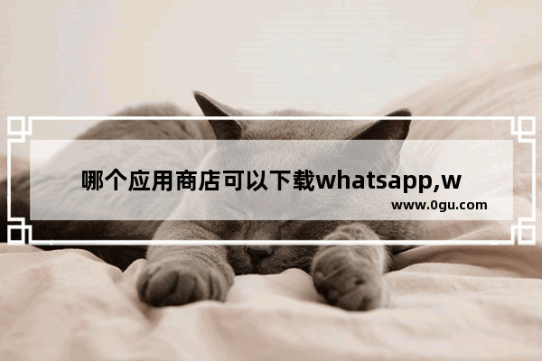 哪个应用商店可以下载whatsapp,whatsapp商业版官方网下载