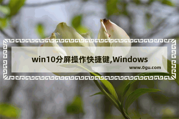 win10分屏操作快捷键,Windows 分屏快捷键