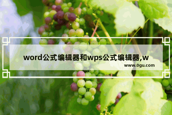 word公式编辑器和wps公式编辑器,wps怎样使用公式编辑器