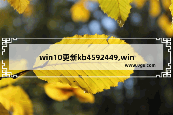 win10更新kb4592449,win10更新kb4601382 2