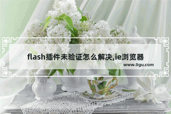 flash插件未验证怎么解决,ie浏览器flash插件未验证