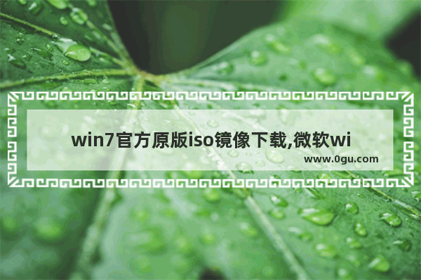 win7官方原版iso镜像下载,微软win7镜像iso下载