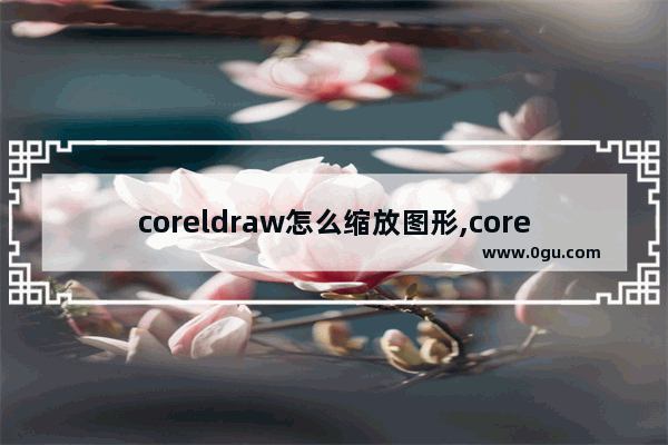 coreldraw怎么缩放图形,coreldrawx4不显示缩略图