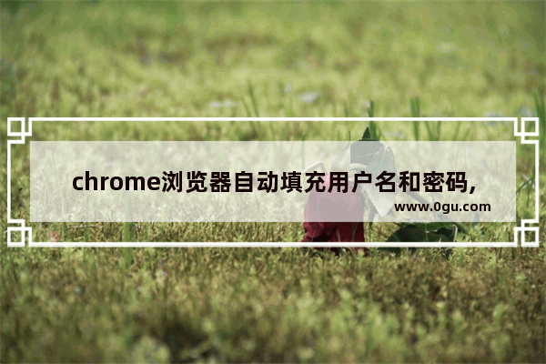 chrome浏览器自动填充用户名和密码,谷歌浏览器设置自动填充密码