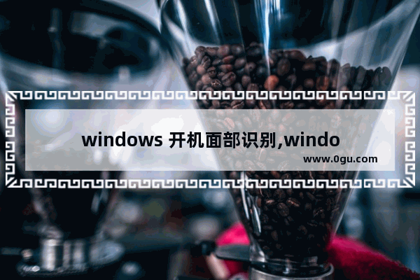 windows 开机面部识别,window10 面部识别