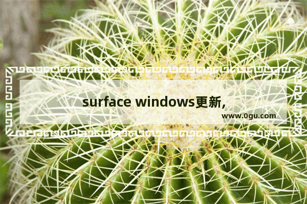 surface windows更新,