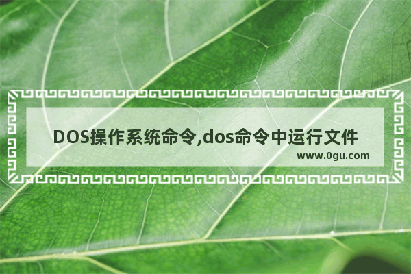 DOS操作系统命令,dos命令中运行文件的命令