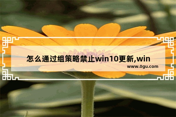 怎么通过组策略禁止win10更新,win10策略关闭自动更新方法