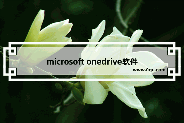 microsoft onedrive软件,microsoft onedrive是系统软件吗