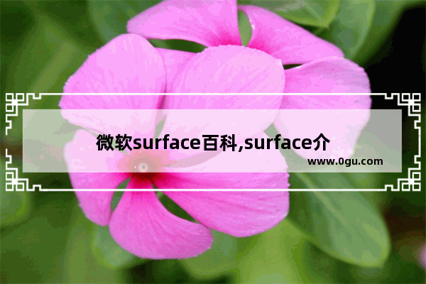 微软surface百科,surface介绍