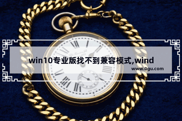 win10专业版找不到兼容模式,windows10没有兼容性选项