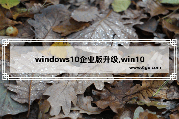 windows10企业版升级,win10企业版2016长期服务版升级