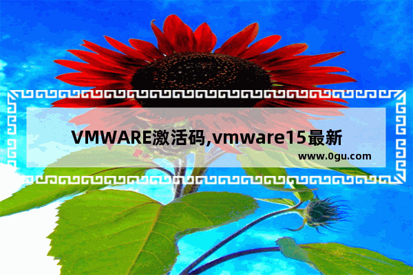 VMWARE激活码,vmware15最新激活码