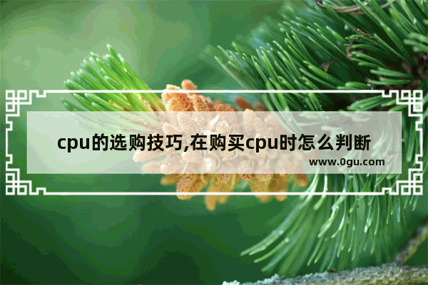 cpu的选购技巧,在购买cpu时怎么判断其性能优劣