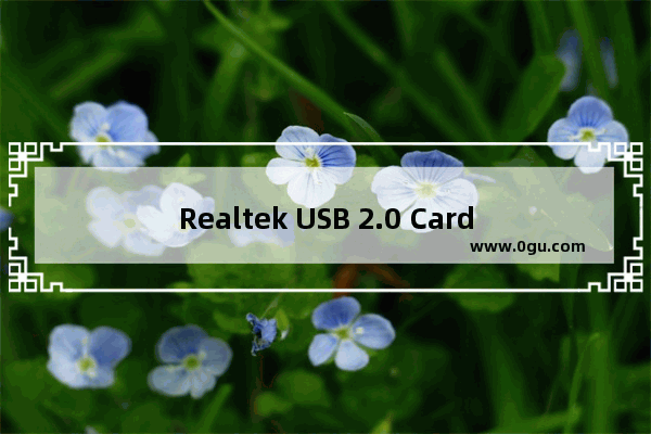 Realtek USB 2.0 Card Reader,