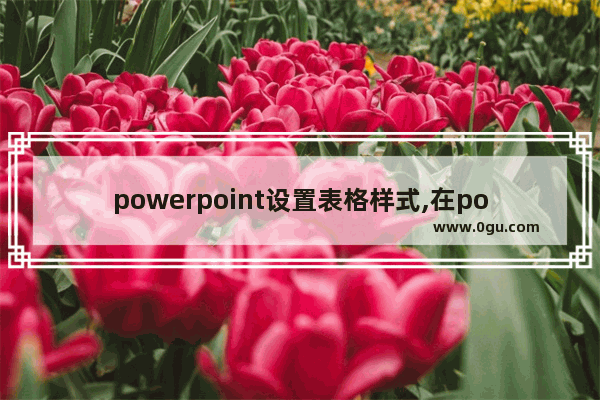 powerpoint设置表格样式,在powerpoint 2003中制作表格时