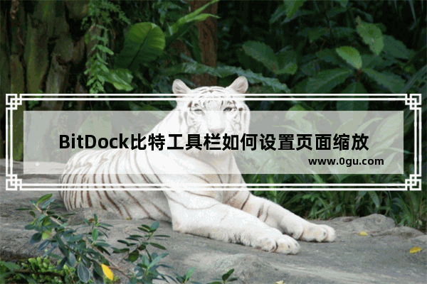 BitDock比特工具栏如何设置页面缩放 BitDock比特工具栏设置页面缩放的方法