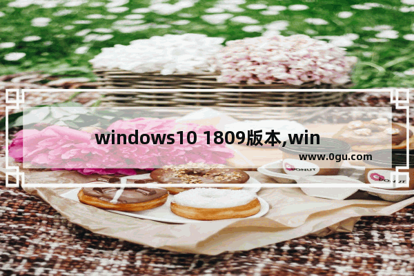 windows10 1809版本,windows 1809版本