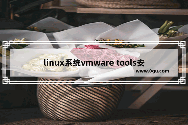 linux系统vmware tools安装步骤,在linux虚拟机中手动安装vmware tools