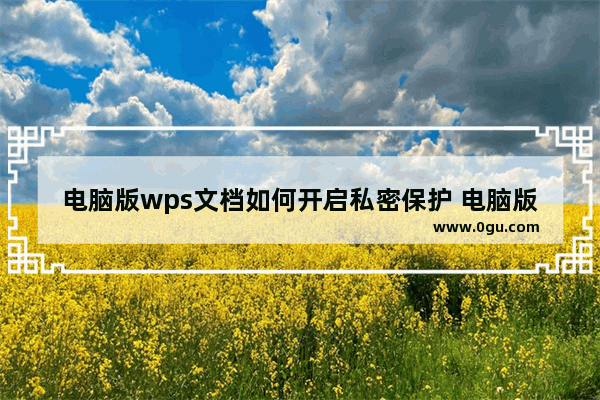 电脑版wps文档如何开启私密保护 电脑版wps文档开启私密保护方法