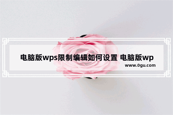 电脑版wps限制编辑如何设置 电脑版wps限制编辑设置方法