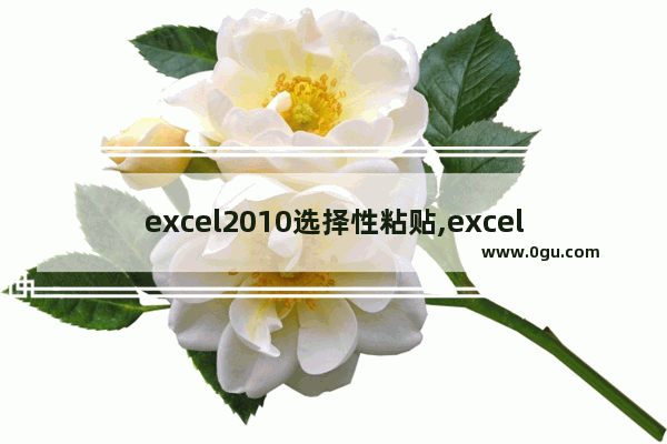 excel2010选择性粘贴,excel中选择性粘贴可以粘贴哪些