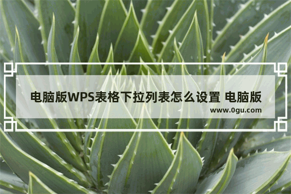 电脑版WPS表格下拉列表怎么设置 电脑版WPS表格下拉列表设置方法