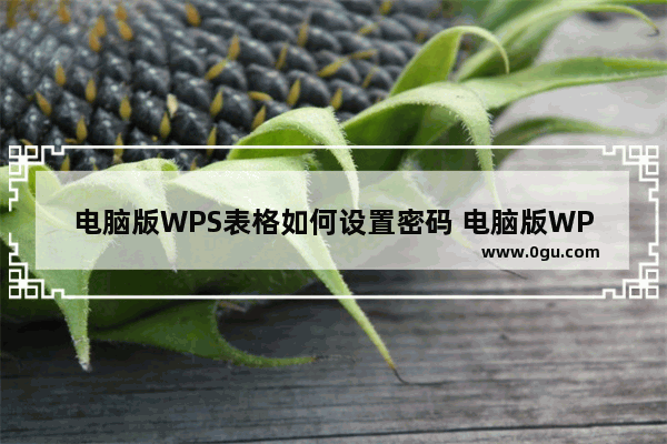 电脑版WPS表格如何设置密码 电脑版WPS表格设置安全密码方法