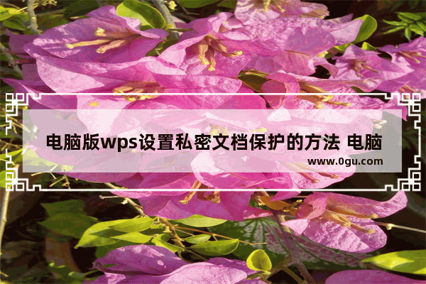 电脑版wps设置私密文档保护的方法 电脑版wps怎么设置私密文档保护