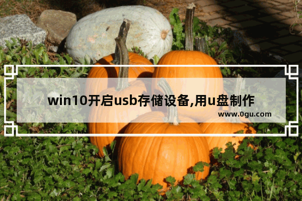 win10开启usb存储设备,用u盘制作usb闪存驱动器