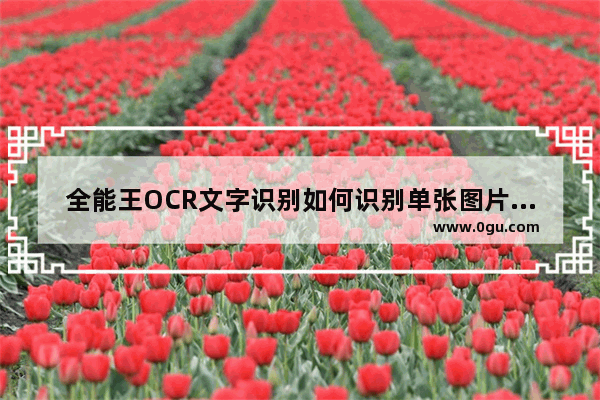 全能王OCR文字识别如何识别单张图片文字 全能王OCR文字识别提取图片文字方法