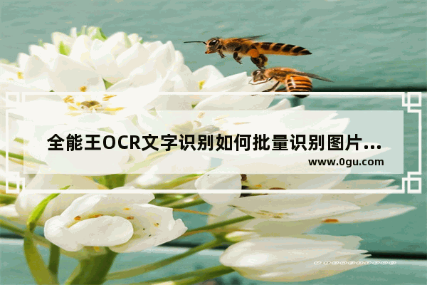 全能王OCR文字识别如何批量识别图片文字 全能王OCR文字识别批量识别图片文字方法