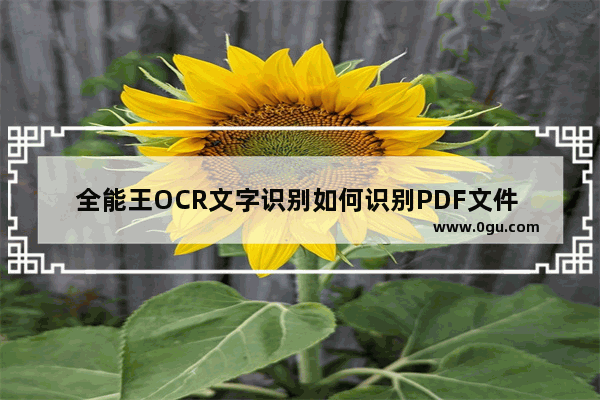 全能王OCR文字识别如何识别PDF文件 全能王OCR文字识别提取PDF文件内容方法