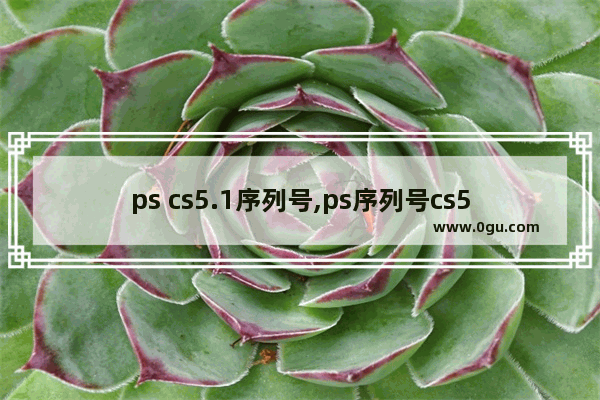 ps cs5.1序列号,ps序列号cs5永久免费2020