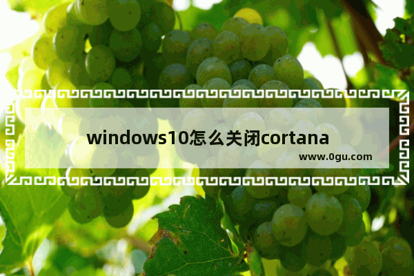 windows10怎么关闭cortana,如何关闭win10cortana