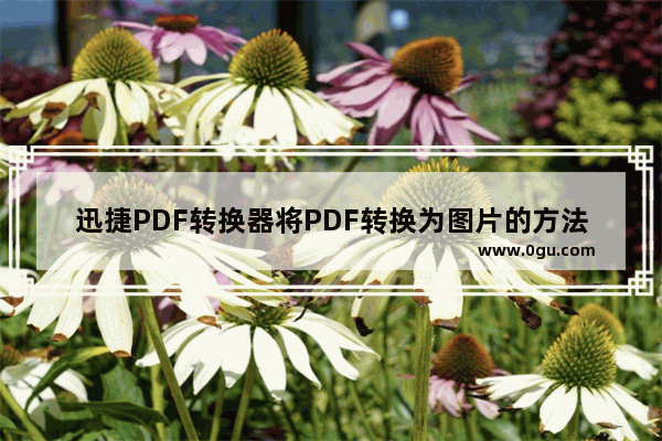 迅捷PDF转换器将PDF转换为图片的方法 迅捷PDF转换器如何将PDF转换为图片