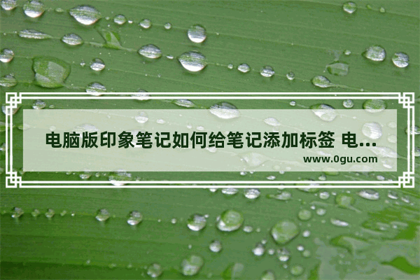 电脑版印象笔记如何给笔记添加标签 电脑版印象笔记给笔记添加标签的方法