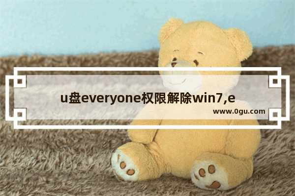 u盘everyone权限解除win7,everyone权限怎么解除