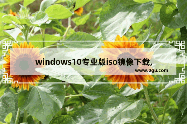 windows10专业版iso镜像下载,windows10正式版官方原版镜像iso下载地址