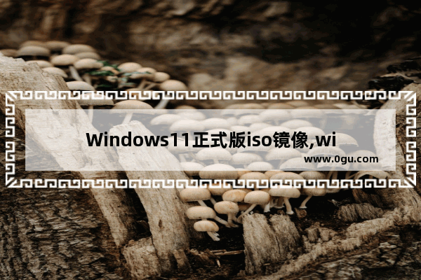 Windows11正式版iso镜像,windows10旗舰版iso镜像下载