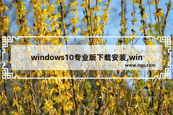 windows10专业版下载安装,win10专业版下载安装教程