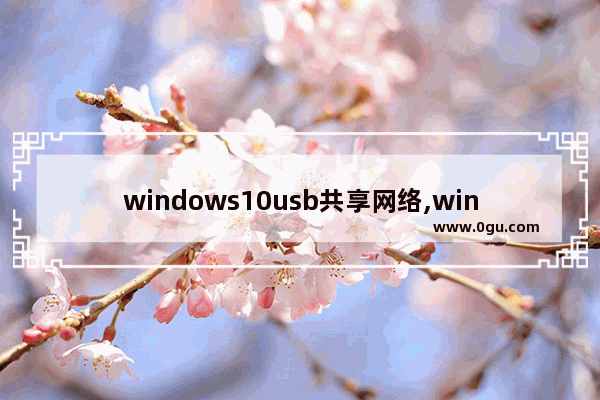 windows10usb共享网络,win10怎么用usb共享网络