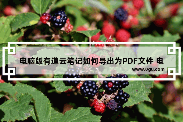 电脑版有道云笔记如何导出为PDF文件 电脑版有道云笔记导出为PDF文件的方法