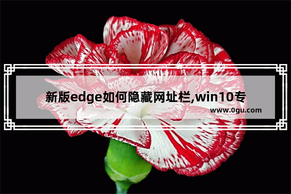 新版edge如何隐藏网址栏,win10专业版edge浏览器不见了